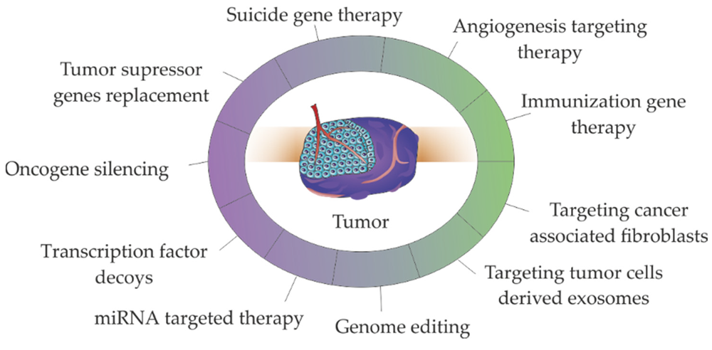 Major strategies used in non-viral gene therapies for cancer treatment